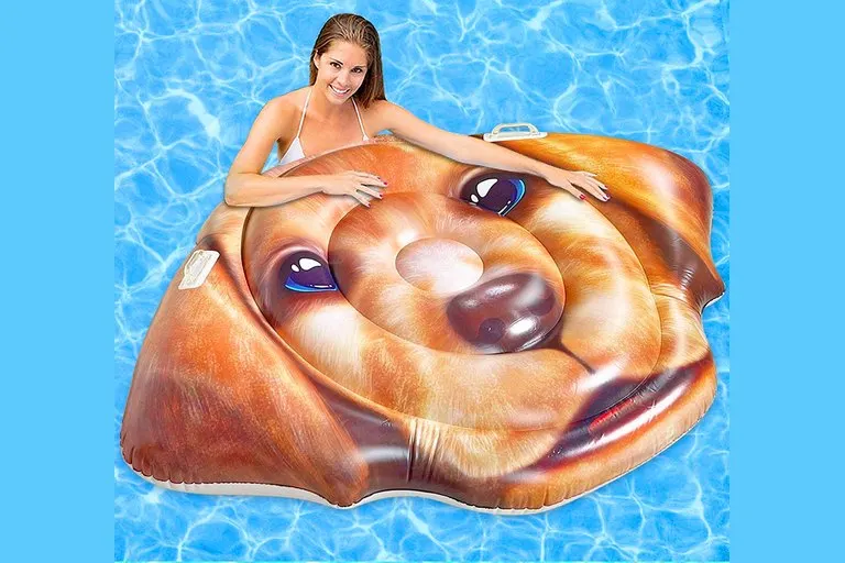 Giant Labrador Face Pool Float