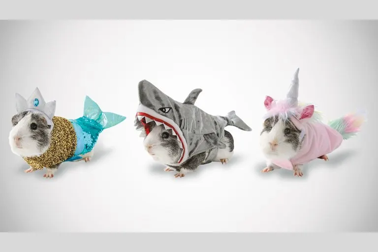 Guinea Pig & Small Pet Halloween Costumes