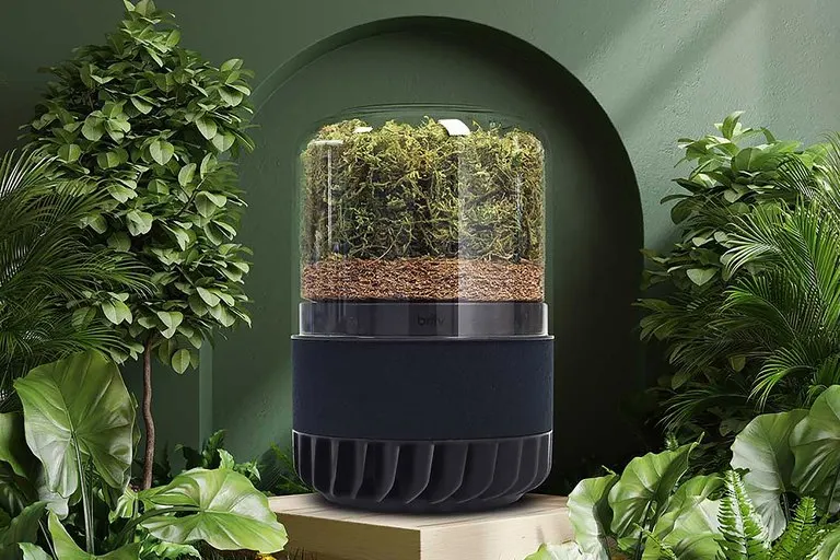 Briiv Pro AI-Powered Natural Air Purifier