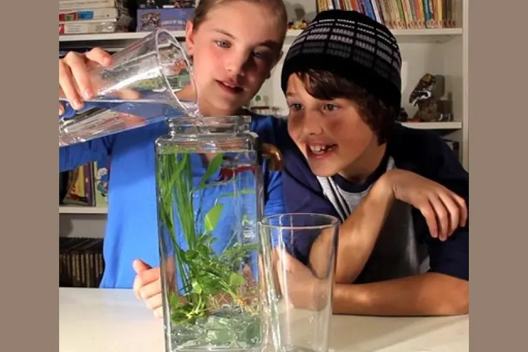 NoClean Desktop Aquarium
