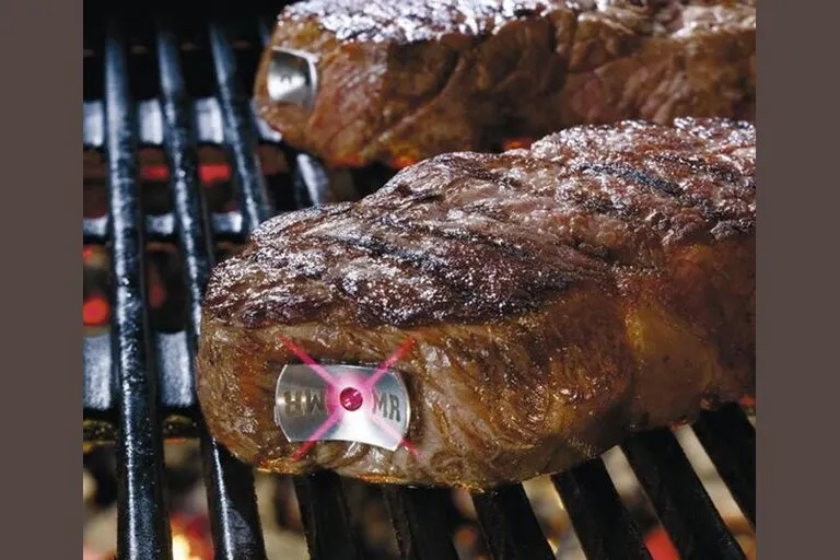SteakChamp Side-Insert Steak Thermometer