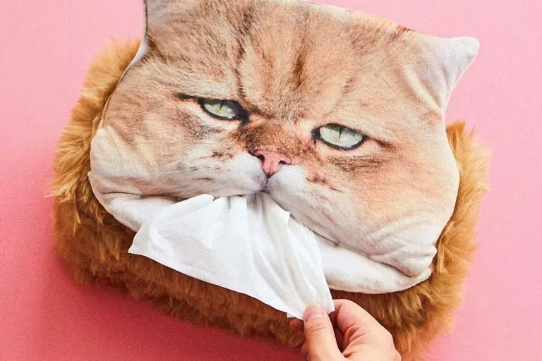 Fluffy Cat Head Tissue Dispenser