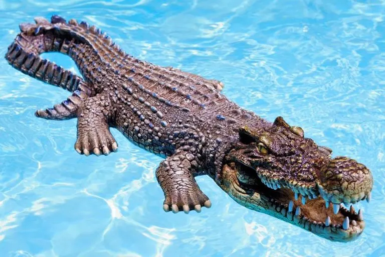 Life-Size Floating Crocodile Pool Decoy