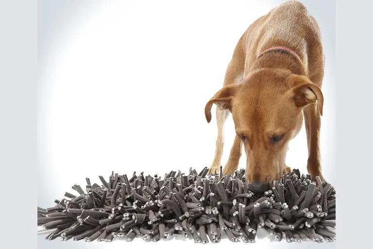 Wooly Snuffle Mat for Dogs