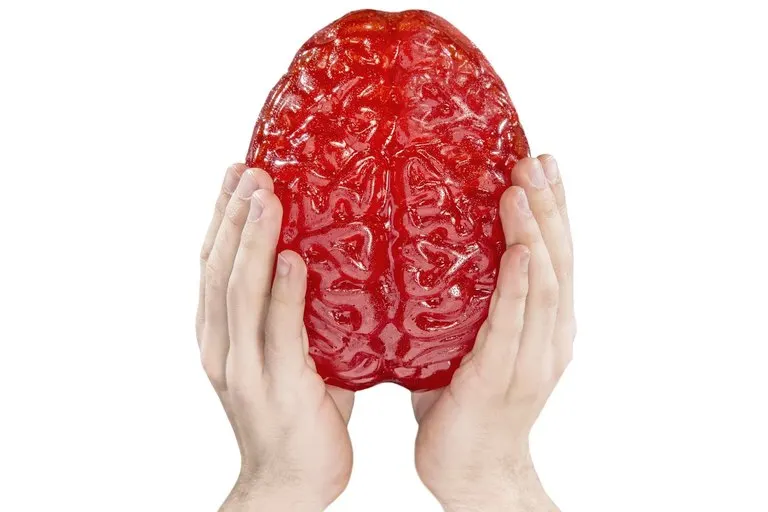 Giant Gummy Brain