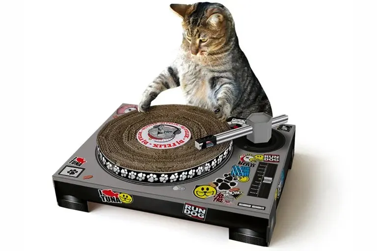 Cat Scratch Turntable