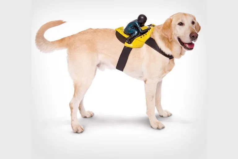 Motorcycle Rider Dog Costume