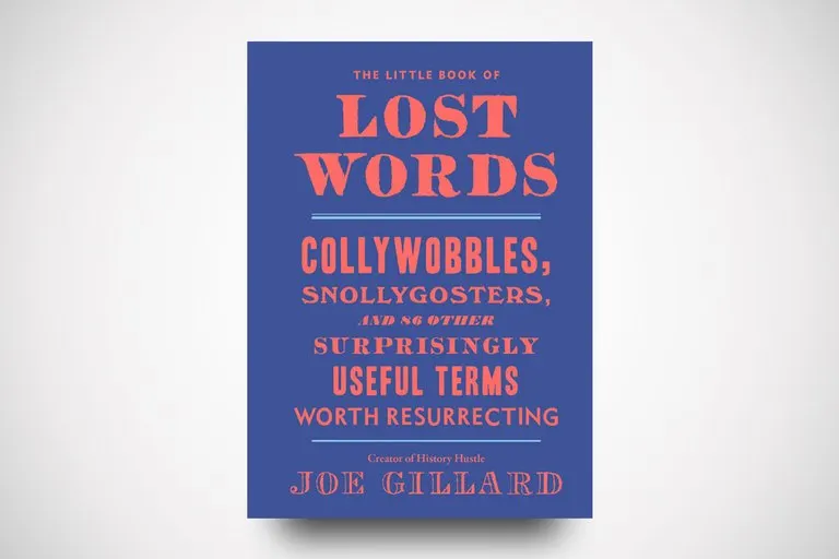 The Little Book of Lost Words