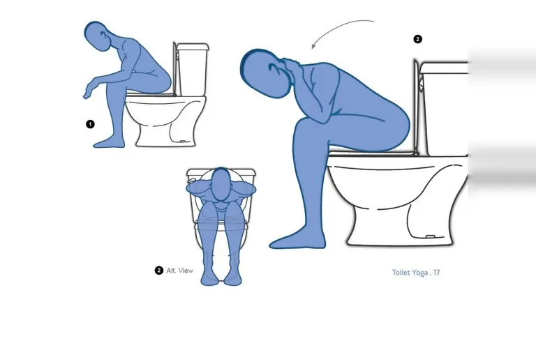 Toilet Yoga Book