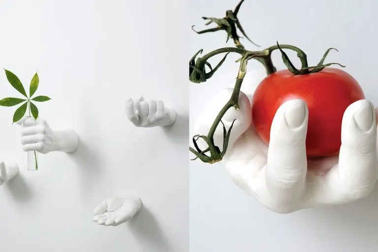 Areaware Hand Hooks
