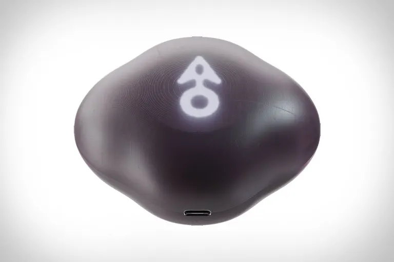 Terra AI Compass