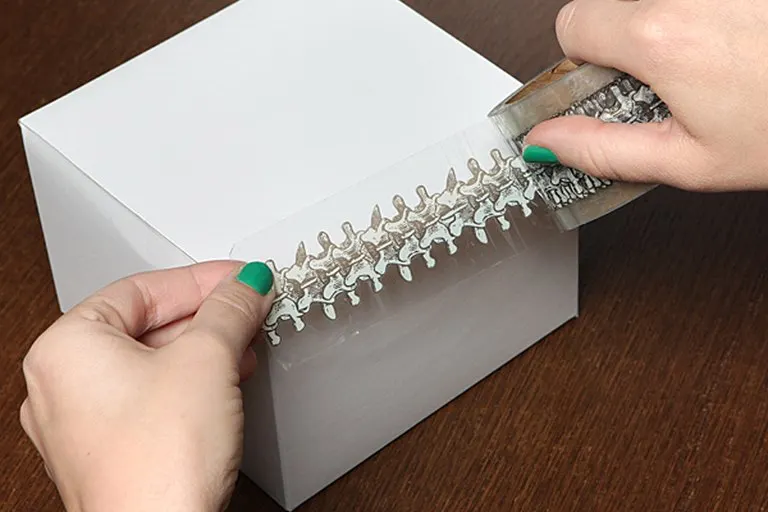 This Is Spinal Tape