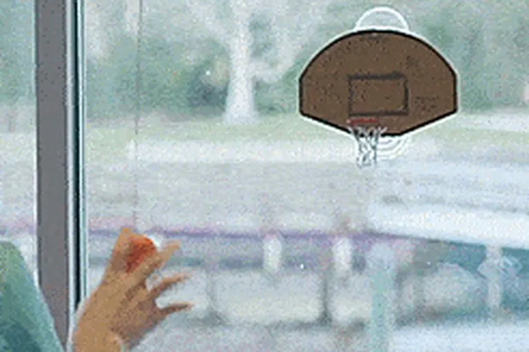 Basketball Hoop Hook and Ring Toss Game