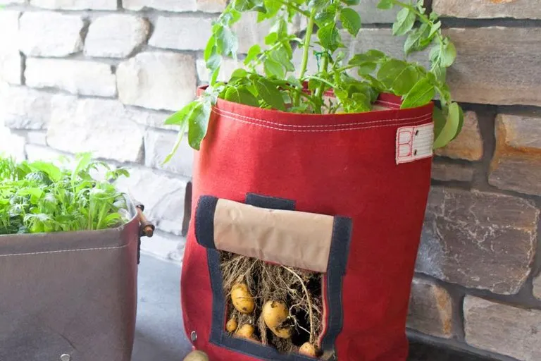 BloemBagz Fabric Potato Planter with Harvest Flap