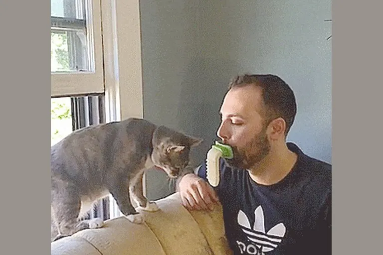 Licki Brush Cat Tongue Headband