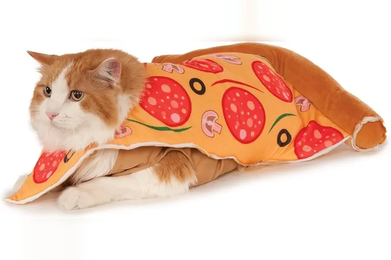 Pepperoni Pizza Costume for Cats