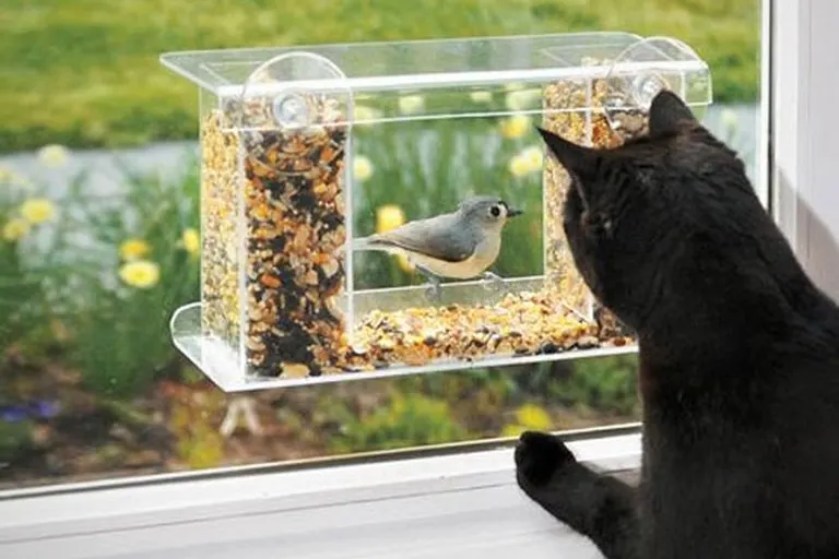 One-Way Mirror Window Bird Feeder