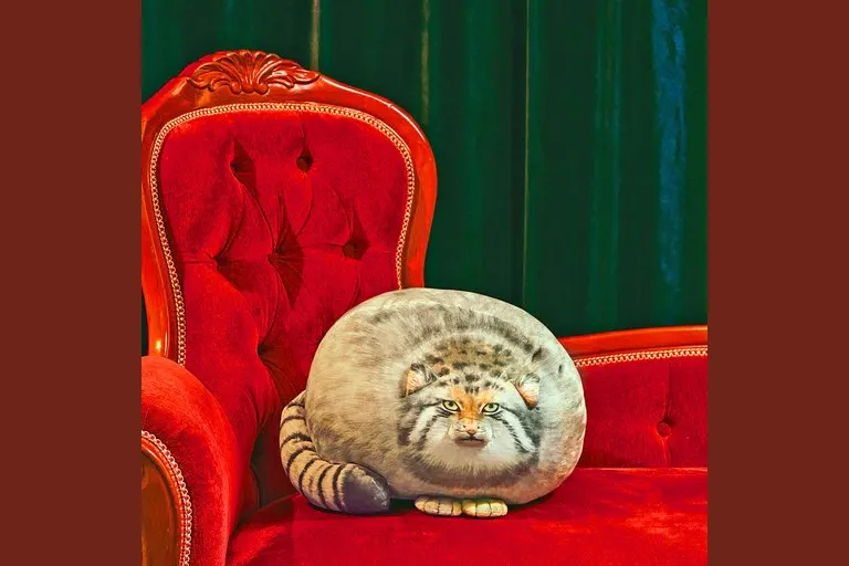 Puffy Pallas's Cat Cushion