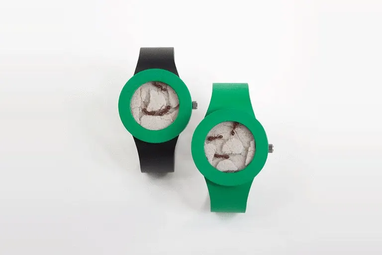 Ant Watch Live Insect Wrist Terrarium