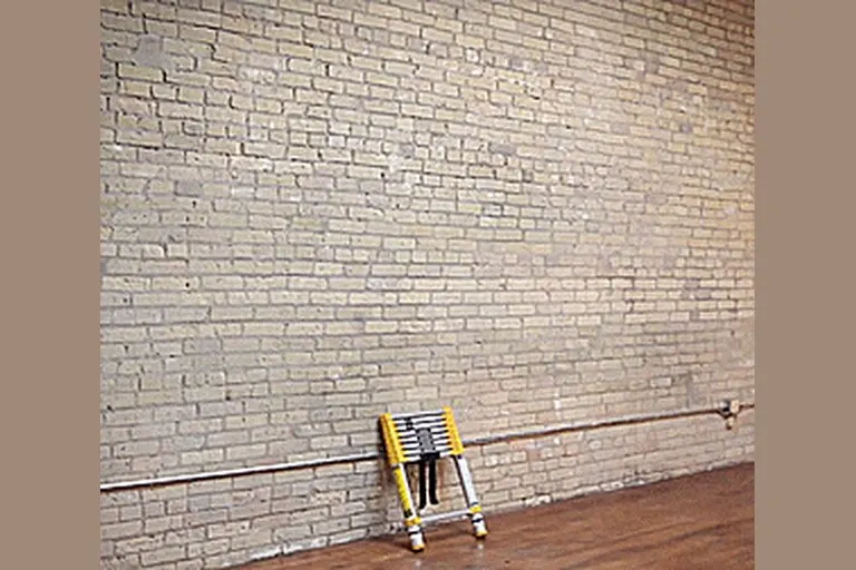 Xtend & Climb Telescoping Ladder
