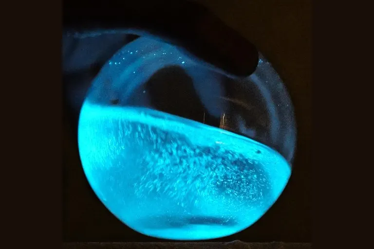 Bioluminescent Bio-Orb
