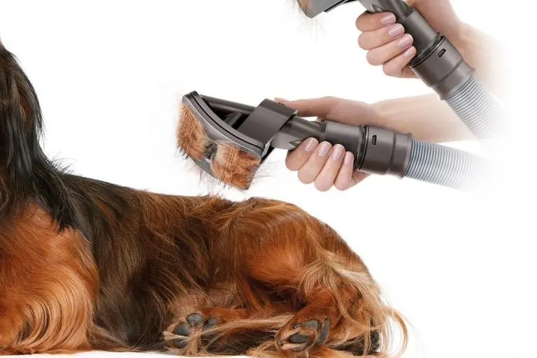 Dyson Groom Dog Brush Vacuum Attachment