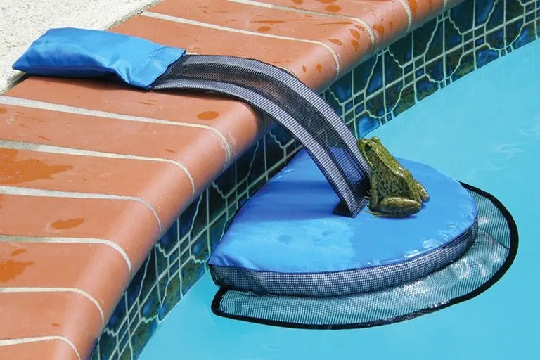 Frog Log Pool Escape Ramp