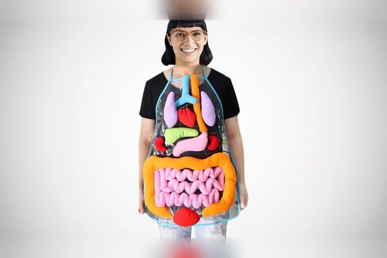 Anatomy Apron with Removable Organs