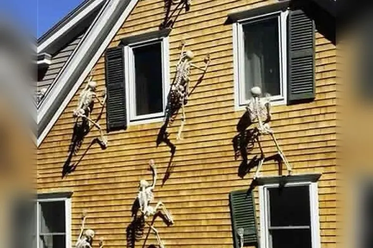 Glow-in-the-Dark Climbing Skeleton