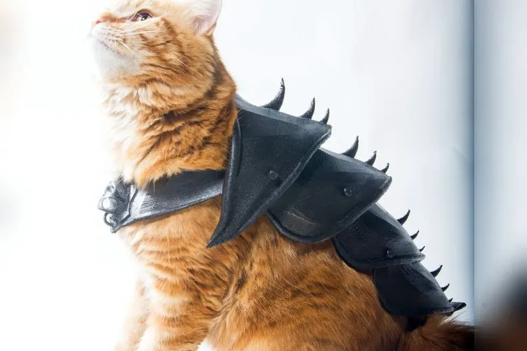 3D Printed Cat Armor