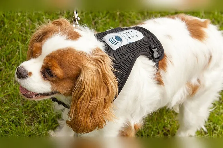Calmz Anxiety Relief System for Dogs