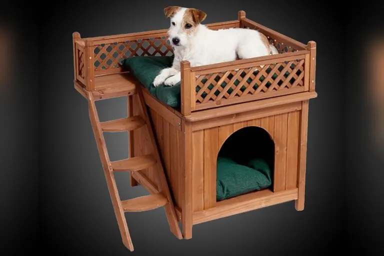 Room with a View Pet House