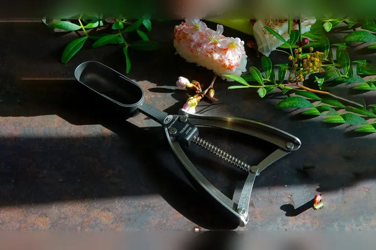 IPPINKA Precision Sushi Tong