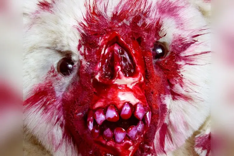 Undead Teds Zombified Teddy Bear