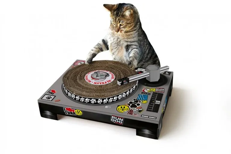 Cat Scratch DJ