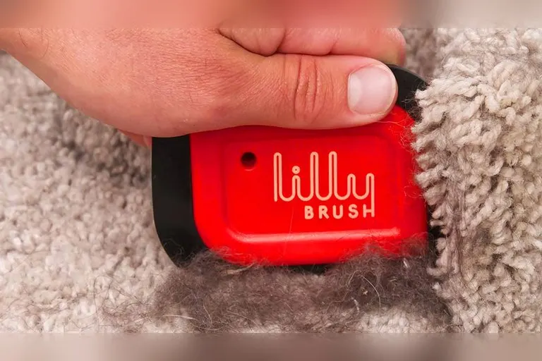 Lilly Brush Mini Pet Hair Detailer