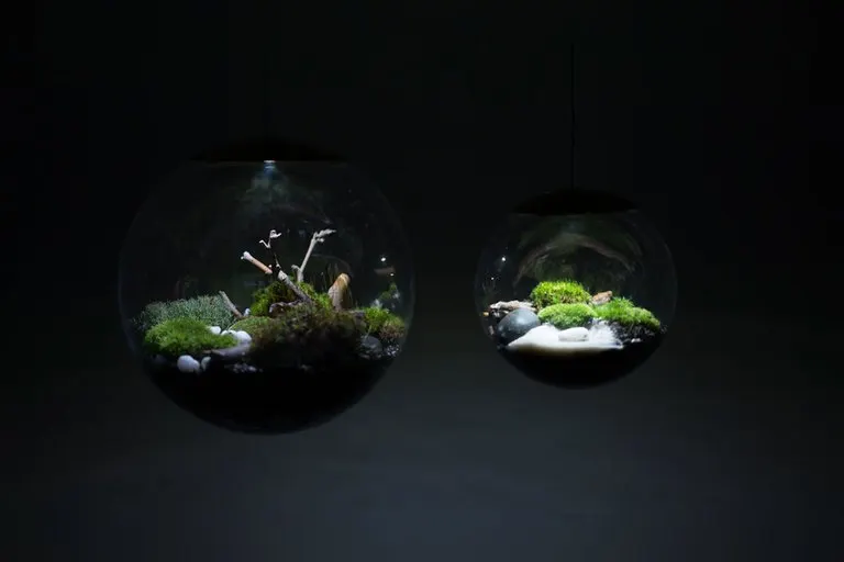 Richard Clarkson Globe Terrarium Lamp