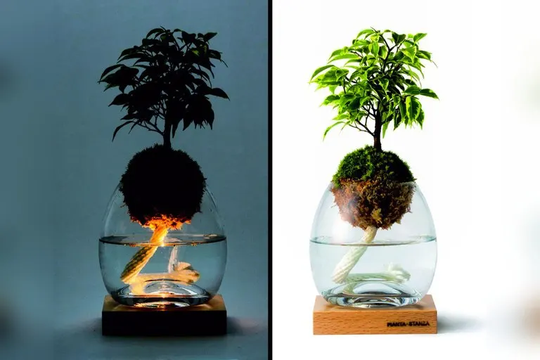 Torch Plant Light Botanical Candle