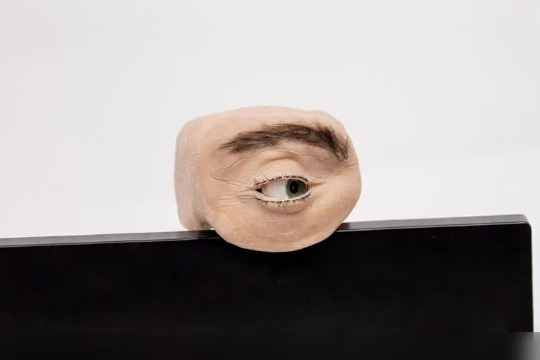 Eyecam Anthropomorphic Webcam
