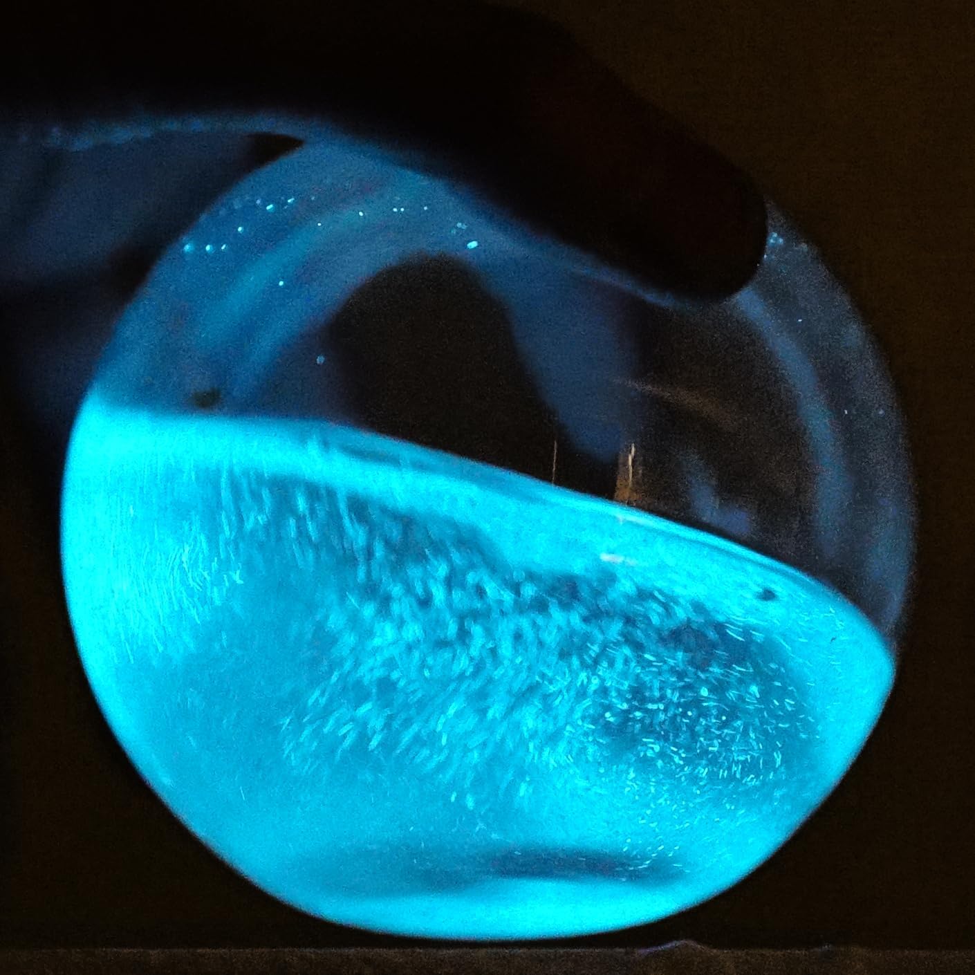 Bioluminescent Bio-Orb