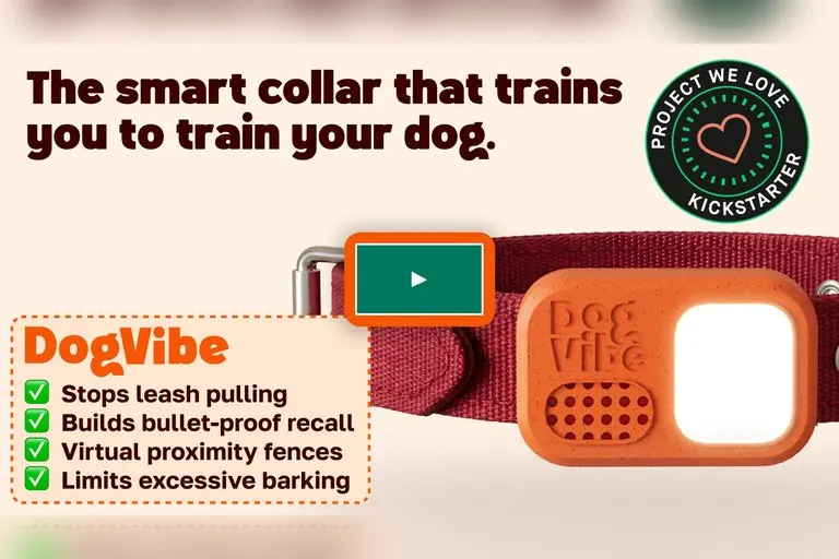 DogVibe Smart Dog Training Collar