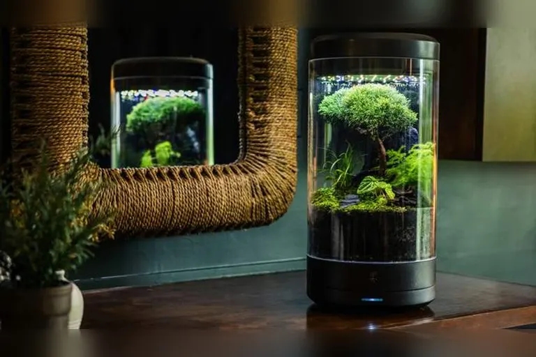 Ark Smart Planter