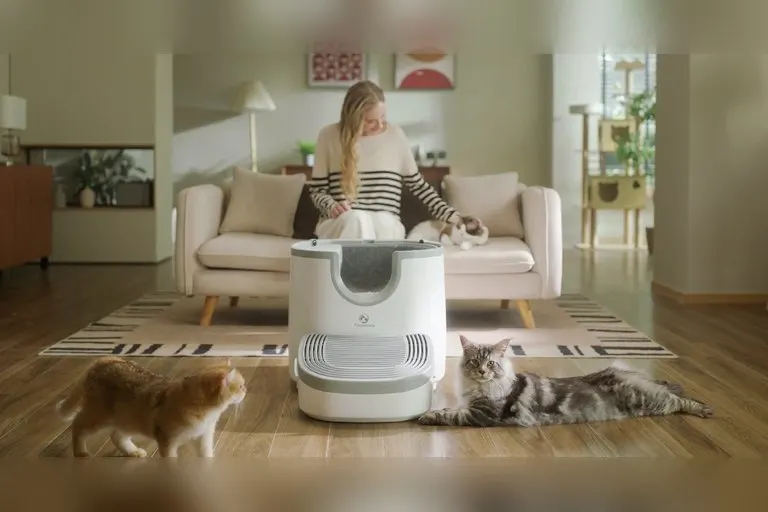 Furoomate Open-Top Automatic Litter Box