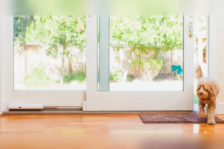 Wayzn Smart Sliding Door Opener