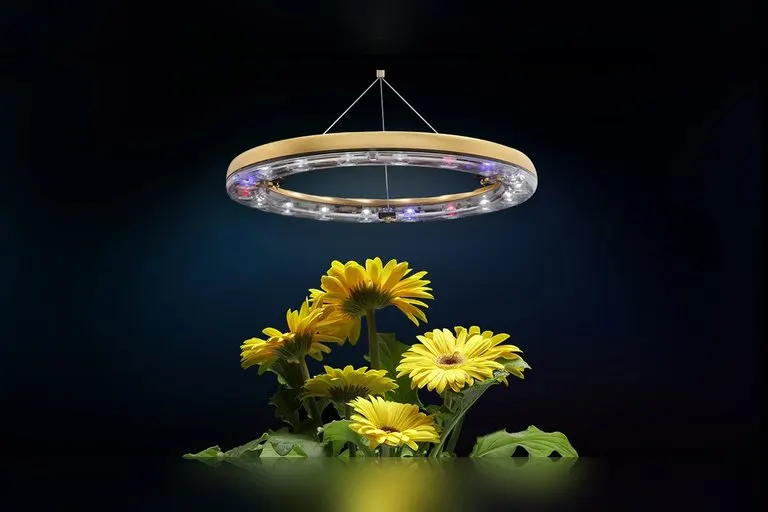 Altifarm Enverde CURA Smart Plant Care System