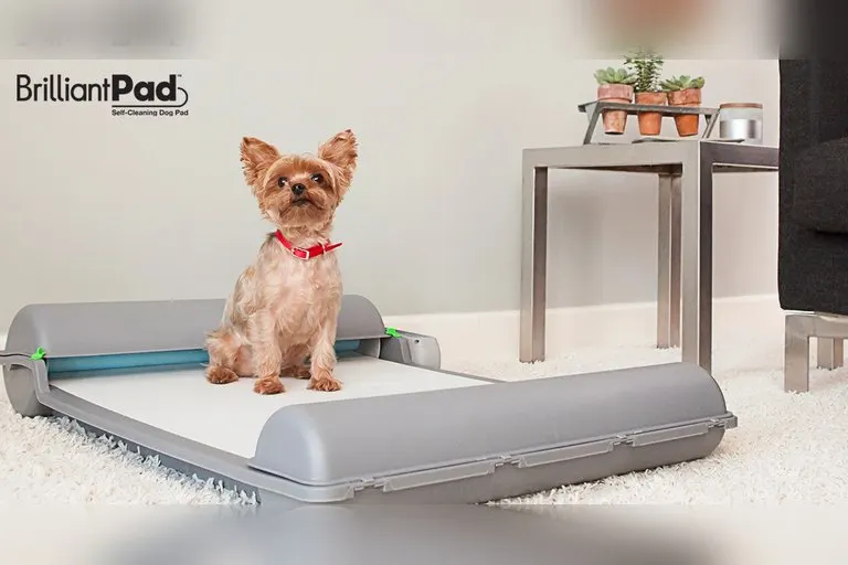 BrilliantPad Automatic Self-Cleaning Dog Potty