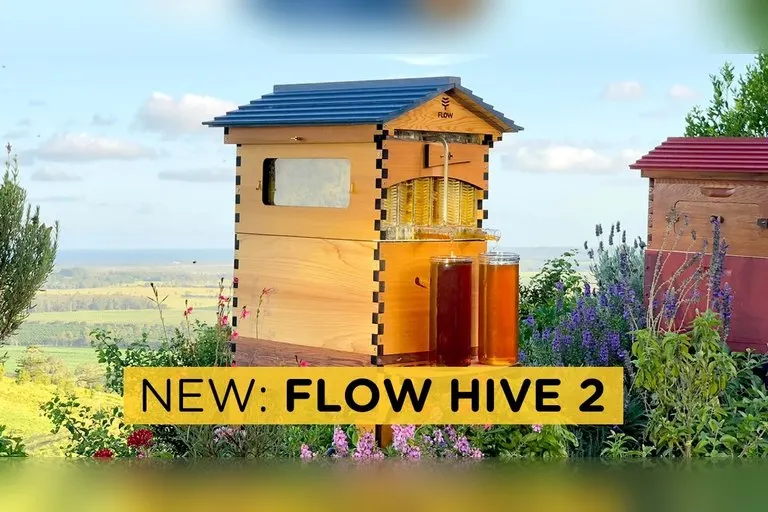 Flow Hive 2