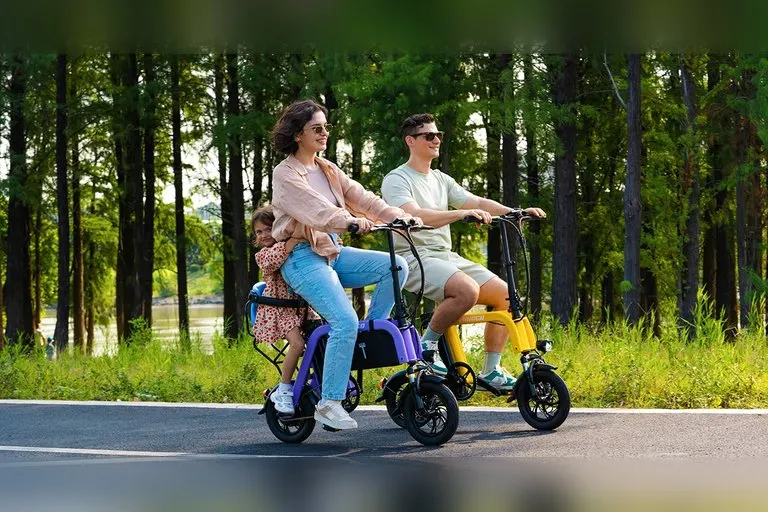 Mihogo Mini Folding E-Bike