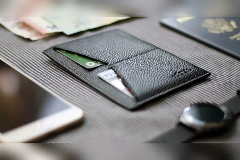 Dash Minimalist Travel Wallet