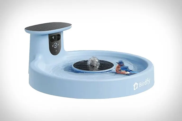 Birdfy Bath Pro Smart Birdbath
